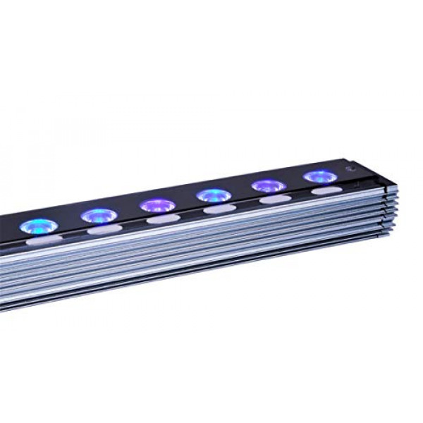 Barra LED Orphek OR3 Reef Aquarium - para iluminación y crecimiento de color fluorescente Coral Pop - LED de chip dual de 5 vatios - (Blue Plus, 120cm/48inch)