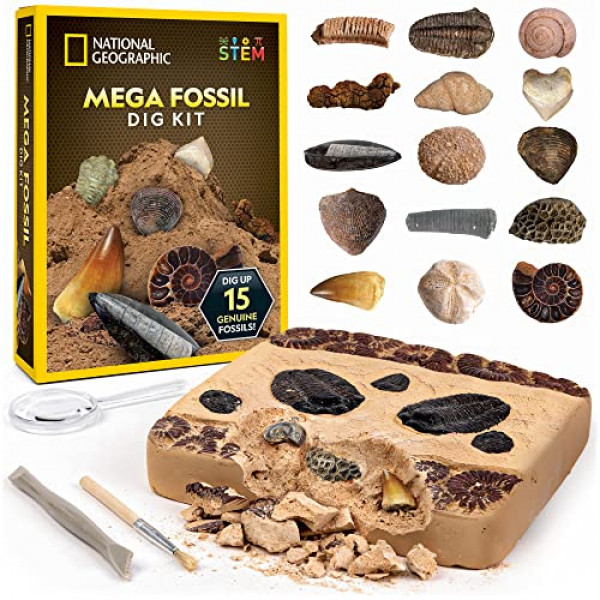 NATIONAL GEOGRAPHIC Mega Fossil Dig Kit - Excava 15 fósiles prehistóricos genuinos, juguetes educativos para niños, gran kit de ciencia regalo para niñas y niños (exclusivo de Amazon)