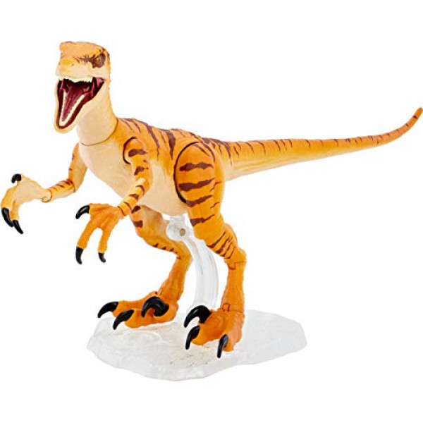 Mattel Jurassic World Toys Amber Collection Tiger Velociraptor Figura de acción de dinosaurio de 6 pulgadas, detalle auténtico de la película, articulaciones móviles y soporte de exhibición de figuras, regalo coleccionable a partir de 8 años