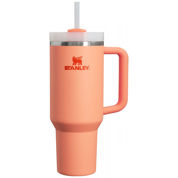 Stanley Quencher H2.0 FlowState Vaso aislado al vacío de acero inoxidable con tapa y pajita para agua, té helado o café, batidos y más, nectarina, 40 oz