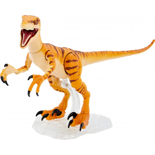 Mattel Jurassic World Toys Amber Collection Tiger Velociraptor Figura de acción de dinosaurio de 6 pulgadas, detalle auténtico de la película, articulaciones móviles y soporte de exhibición de figuras, regalo coleccionable a partir de 8 años